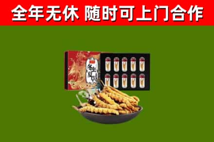 沙溪镇回收冬虫夏草价格