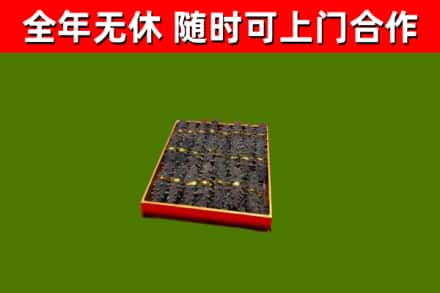 沙溪镇回收海参